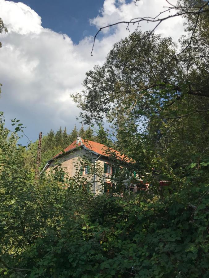 B & B Maison Helise La Croix-aux-Mines Extérieur photo