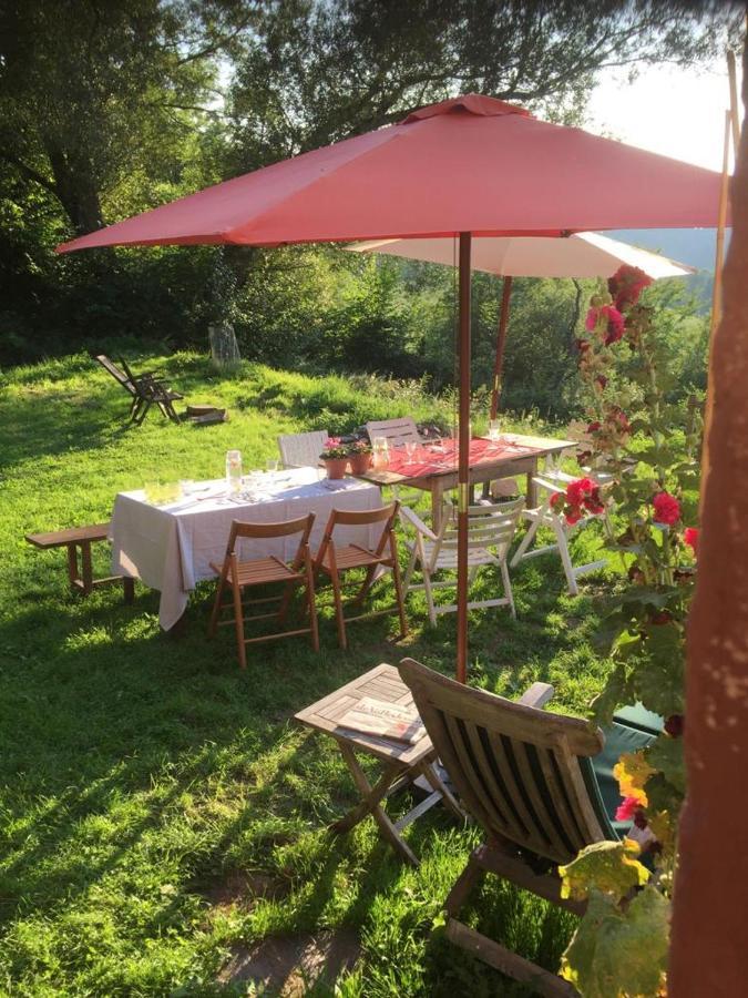 B & B Maison Helise La Croix-aux-Mines Extérieur photo