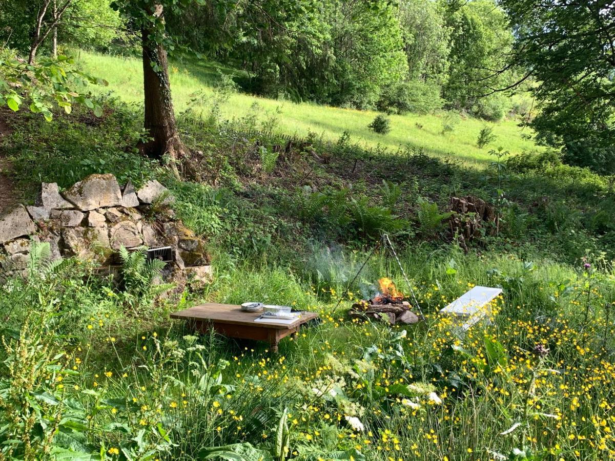 B & B Maison Helise La Croix-aux-Mines Extérieur photo