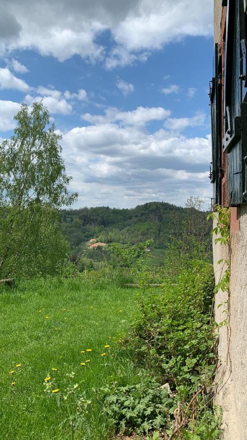 B & B Maison Helise La Croix-aux-Mines Extérieur photo